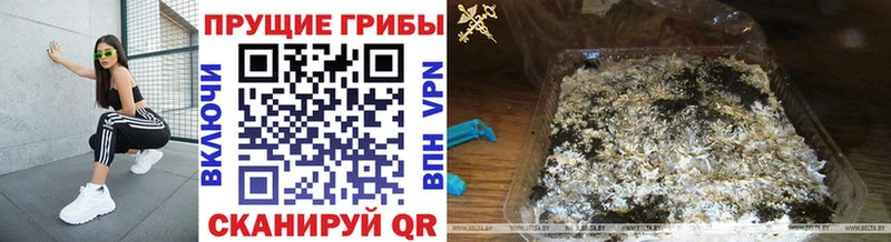 Галлюциногенные грибы Cubensis  мега ссылка  Анадырь 